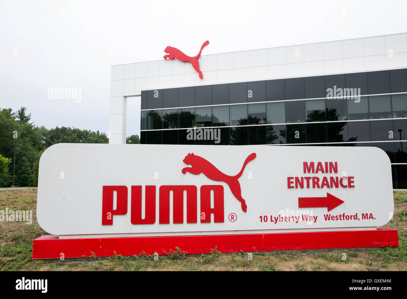 puma siege