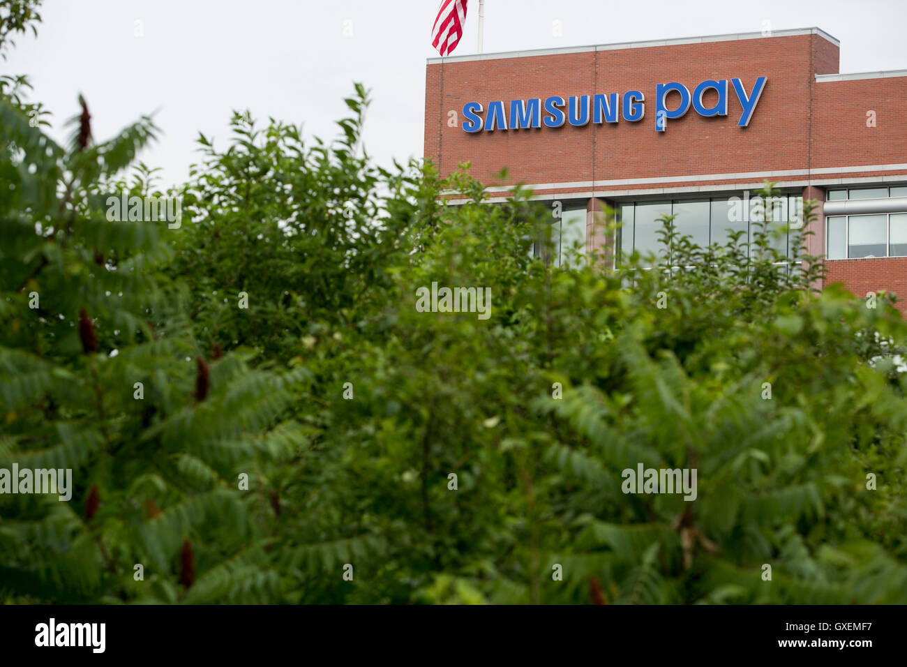 Un logo affiche à l'extérieur du siège de Samsung Payer à Burlington, Massachusetts le 13 août 2016. Banque D'Images