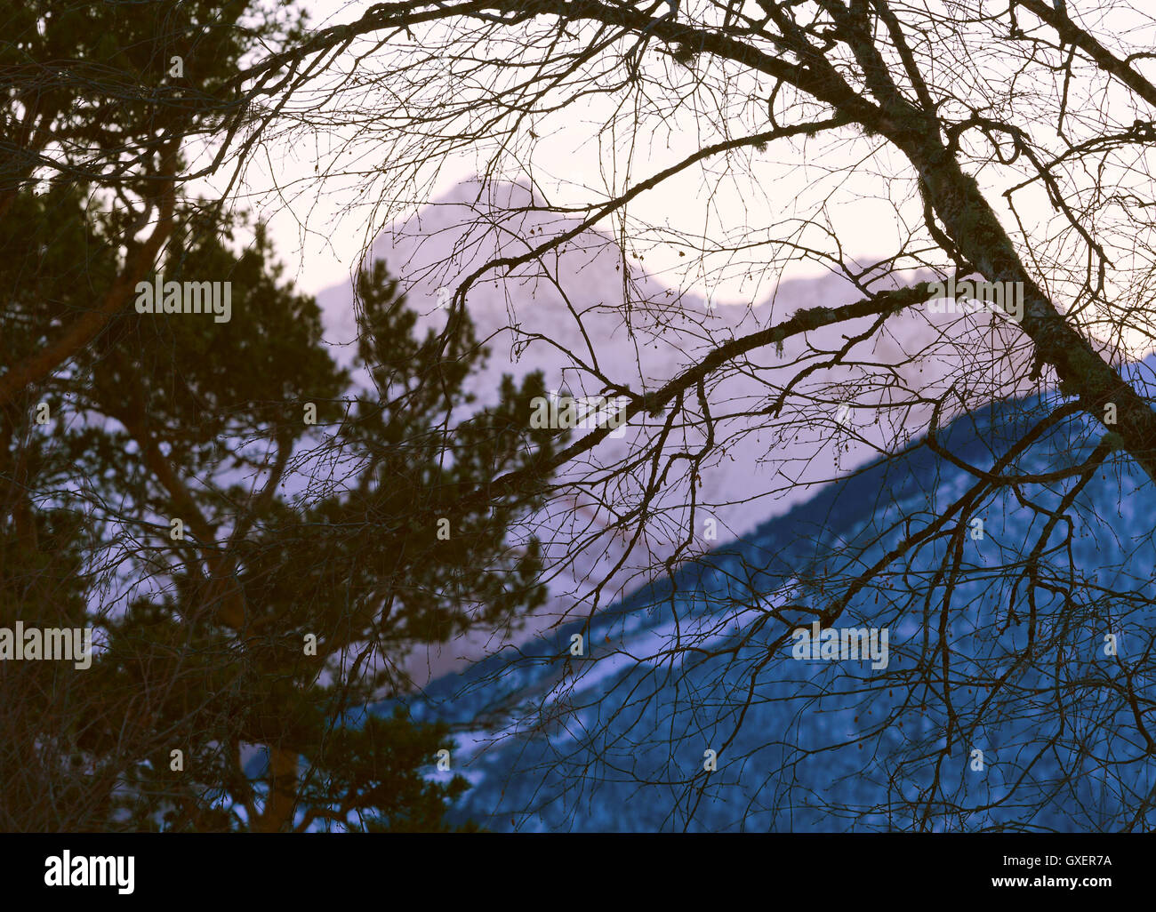 Montagnes hiver Paysage du soir (Caucase, Russie) : pics de montagne loin couvert de neige et de descendre par Sun Banque D'Images