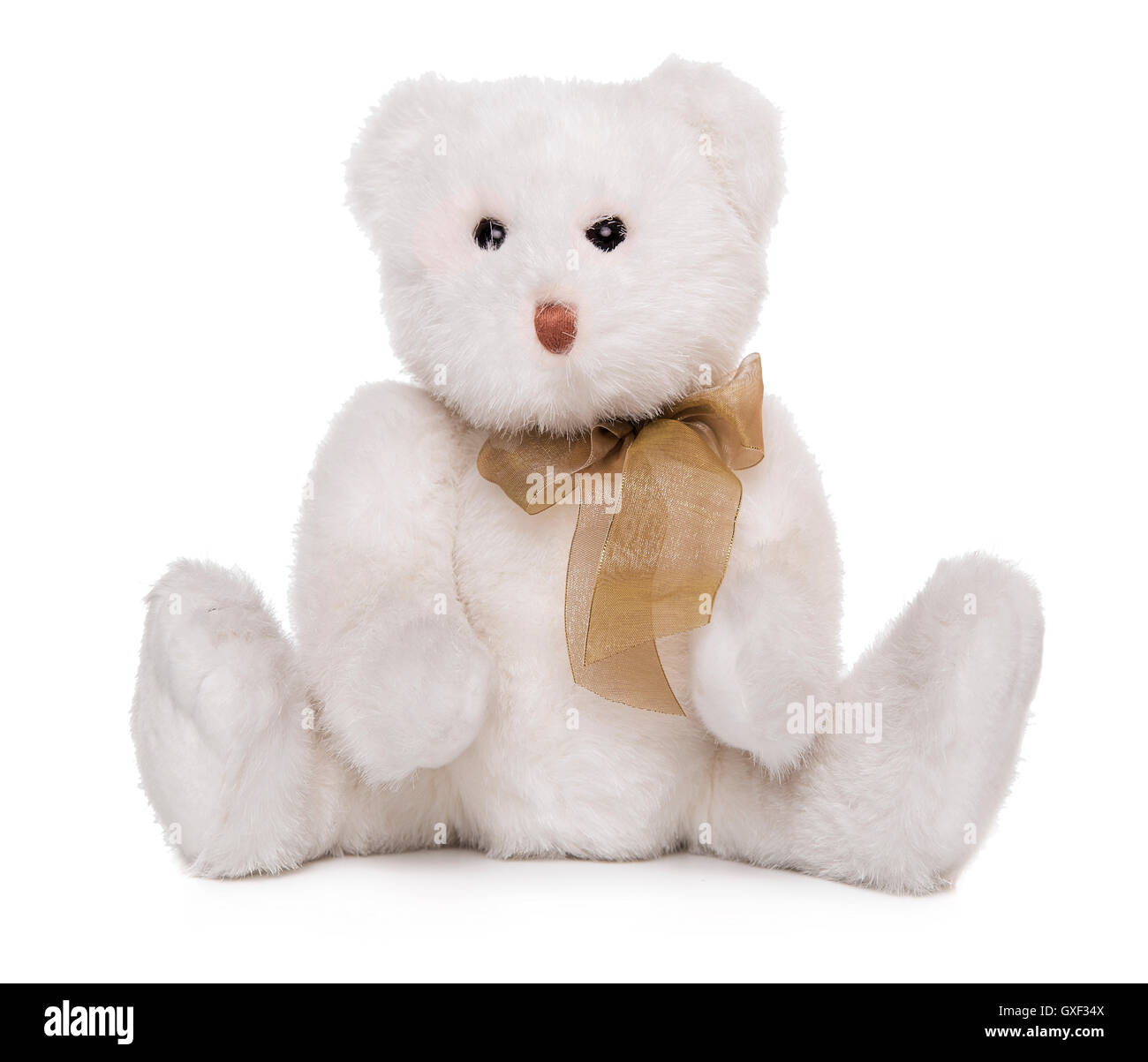 Mignon ours isolé sur fond blanc. Banque D'Images