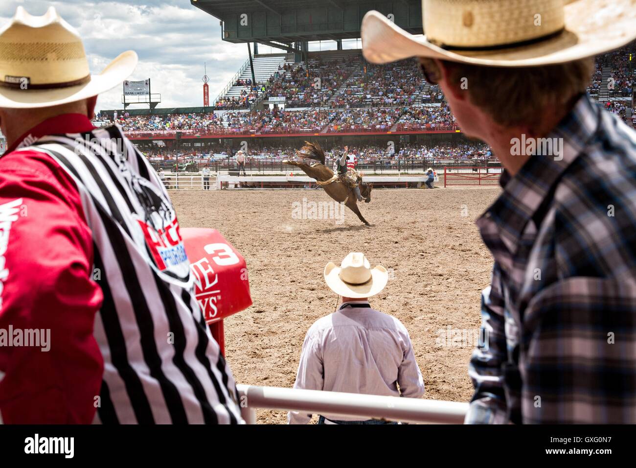 Un bareback rider accroche sur pendant la compétition au rodéo de