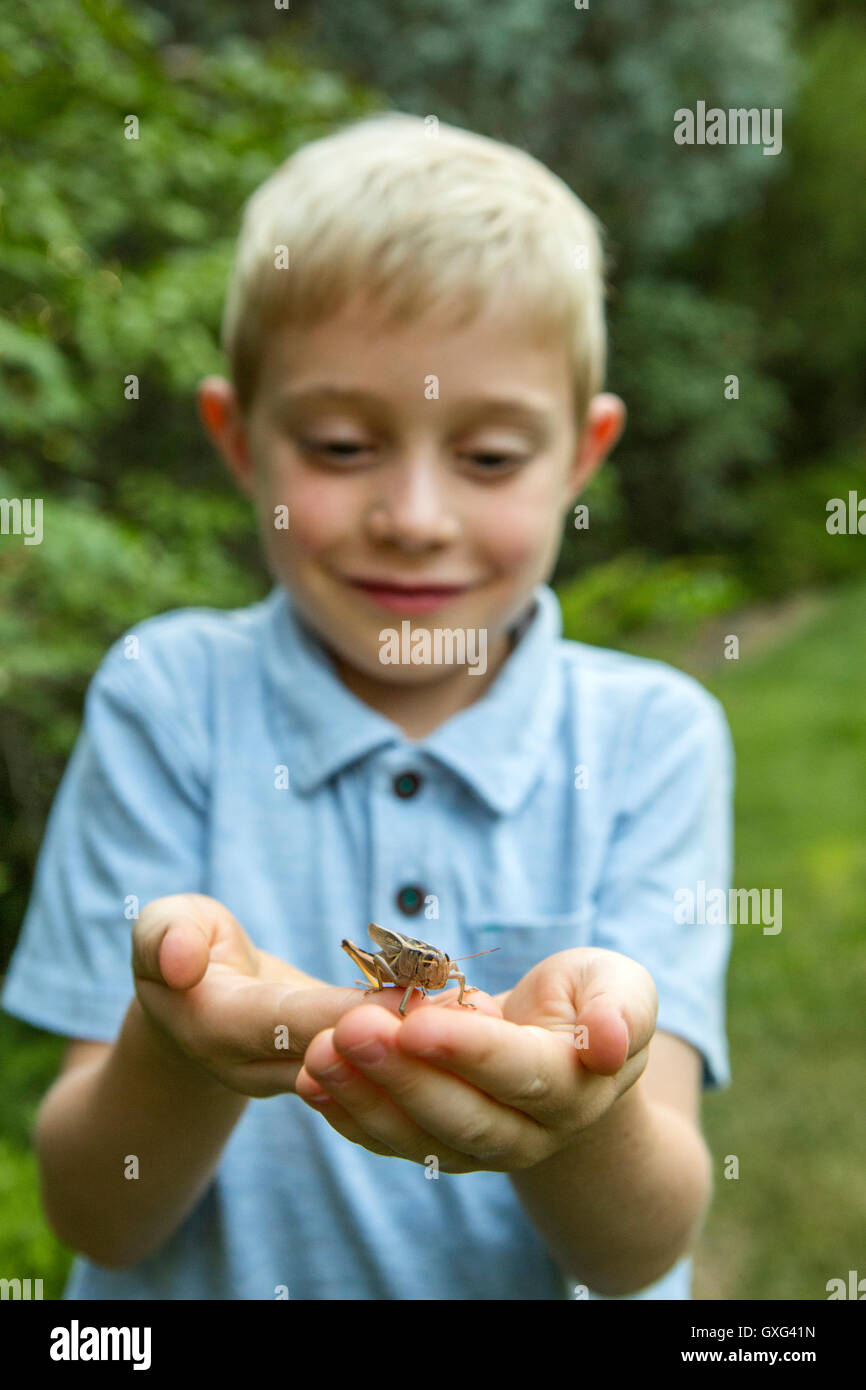 Woman cupping grasshopper in hands Banque D'Images