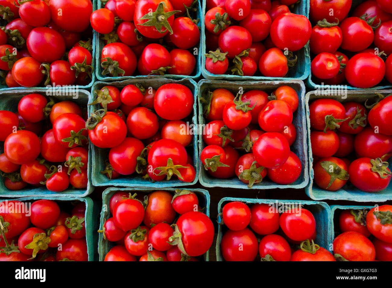 Les contenants des tomates Banque D'Images