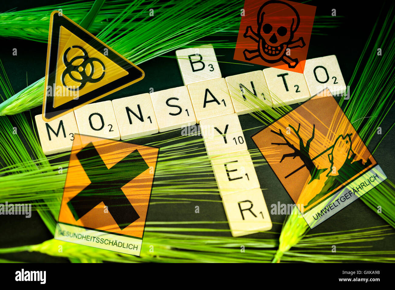 Von SchriftzÃ¼ge KornÃ Bayer Monsanto und mit, Ãoebernahmeangebot¤hren von Bayer Banque D'Images
