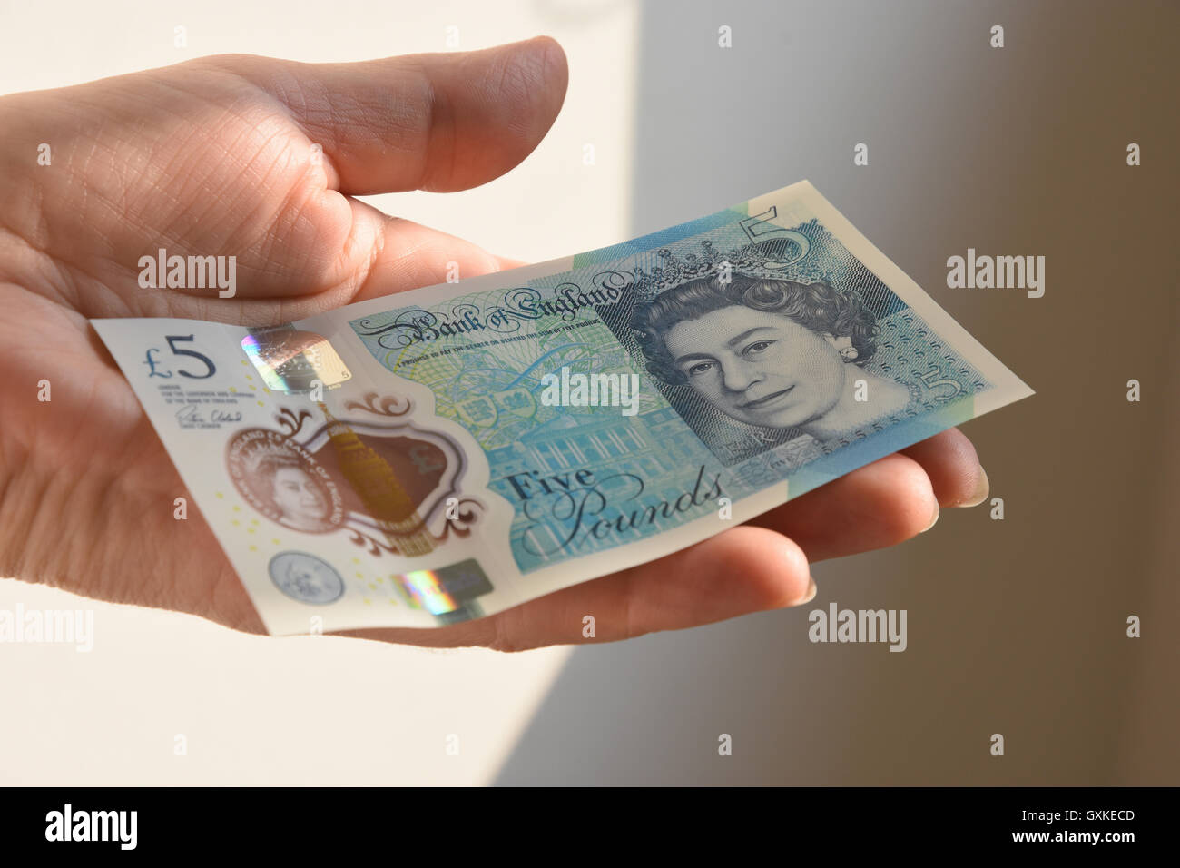 Le polymère nouveau UK Note cinq livres Banque D'Images