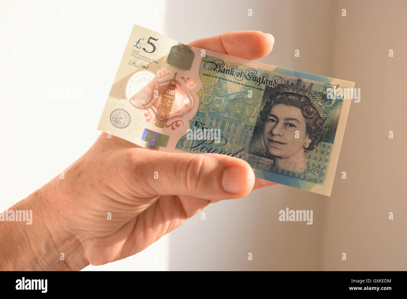 Le polymère nouveau UK Note cinq livres Banque D'Images