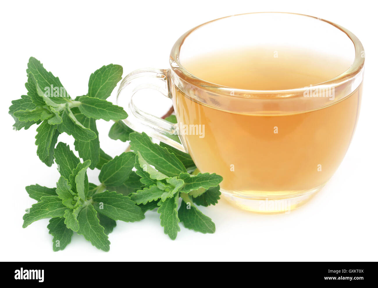 Tisane dans une tasse avec des feuilles de stevia sur fond blanc Banque D'Images