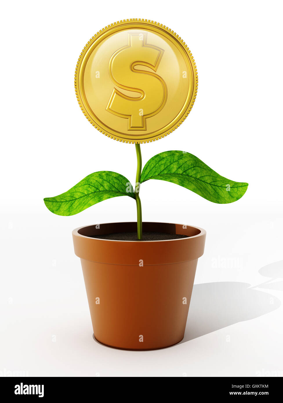 Pièce d'or avec le symbole du dollar sur le pot de fleurs. 3D illustration. Banque D'Images