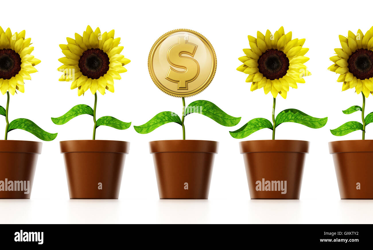 Pièce d'or avec le symbole du dollar sur le pot de fleurs parmi les fleurs. 3D illustration. Banque D'Images