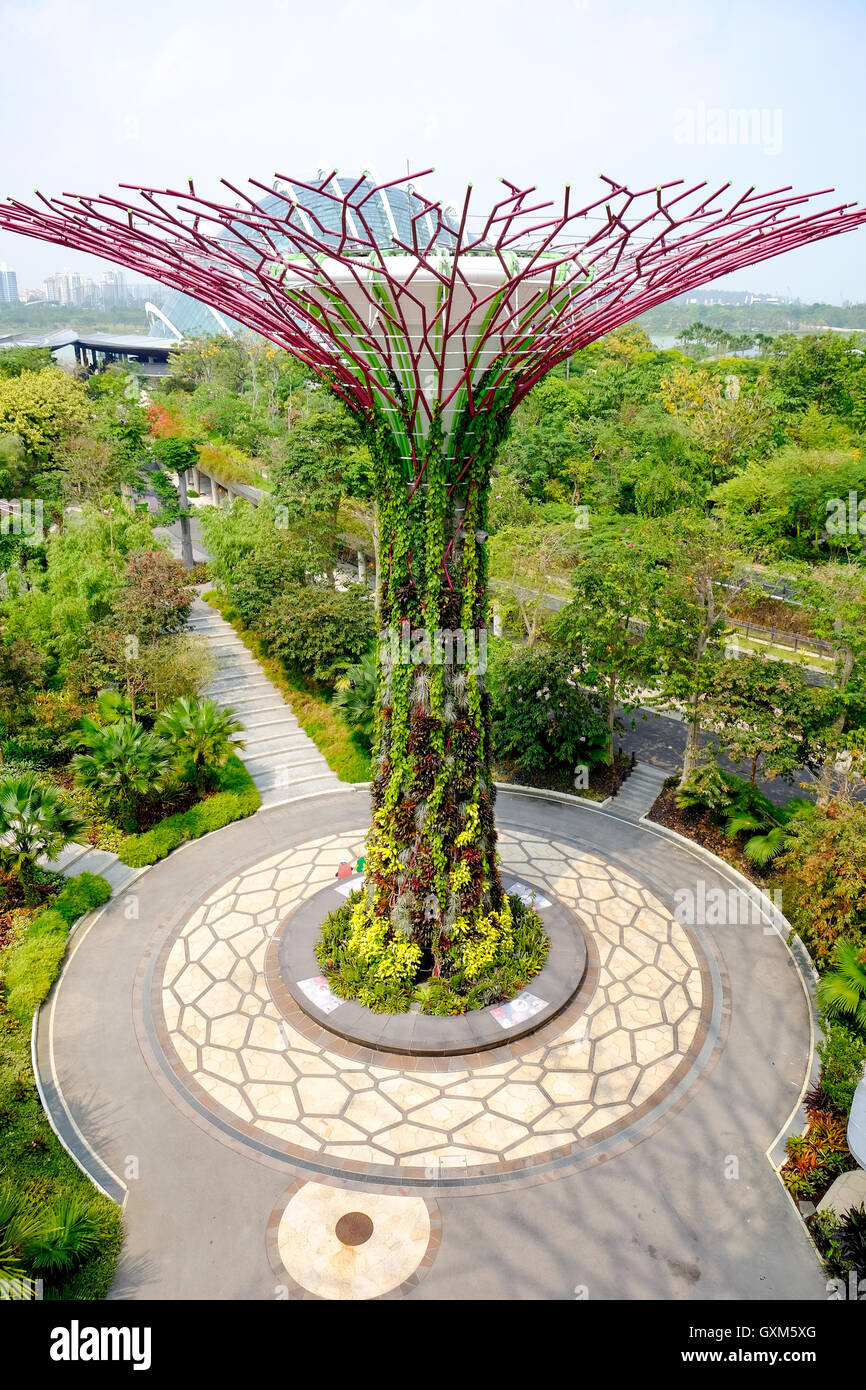 Supergrove les arbres dans les jardins de la baie de Singapour Banque D'Images