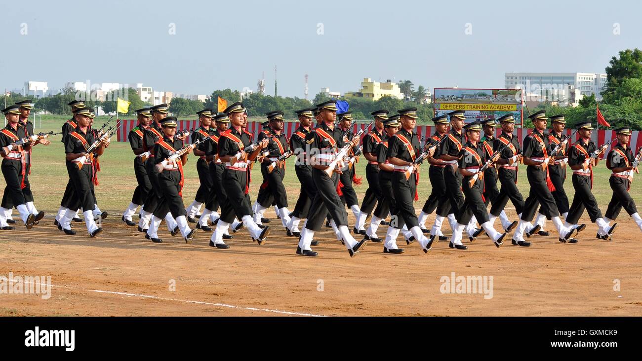 L'Académie de formation des officiers (OTA) cadets afficher leurs compétences au cours de l'adoption des élèves-officiers, à Chennai Inde Banque D'Images