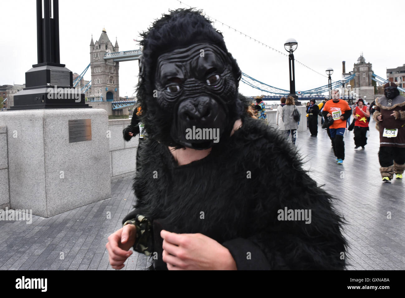 Tower Bridge, Londres, Royaume-Uni. 17 septembre 2016. Le Great Gorilla Run, 8km course de bienfaisance pour aider à la conservation des gorilles. Banque D'Images