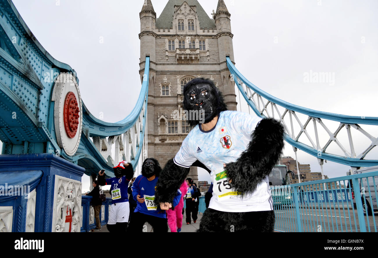 Londres, Grande-Bretagne. 17 Sep, 2016. Les gorilles habillés comme des militants traversent la Tower Bridge au cours de la 'Great Gorilla Run' à Londres, Grande-Bretagne, 17 septembre 2016. L'action vise à attirer l'attention sur la situation des espèces menacées de gorilles de montagne. Photo : CHRISTOPH MEYER/dpa/Alamy Live News Banque D'Images