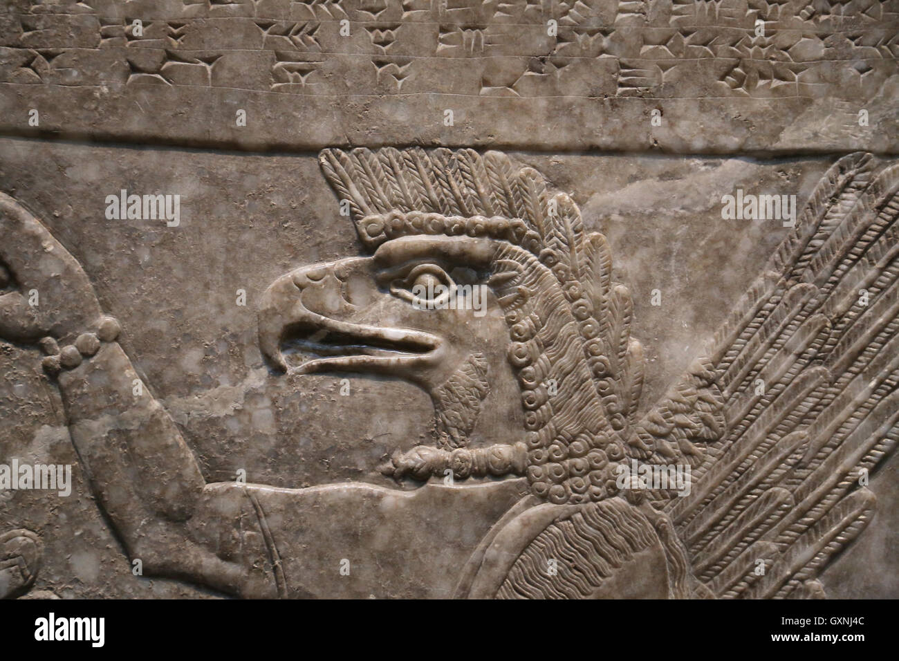 Le soulagement. Or, dieu à tête d'aigle. 9e siècle avant J.-C.. Neo-Assyrian. Règne d'Assurnazirpal. Nimrud (ancienne Kalhu). La Mésopotamie. Banque D'Images