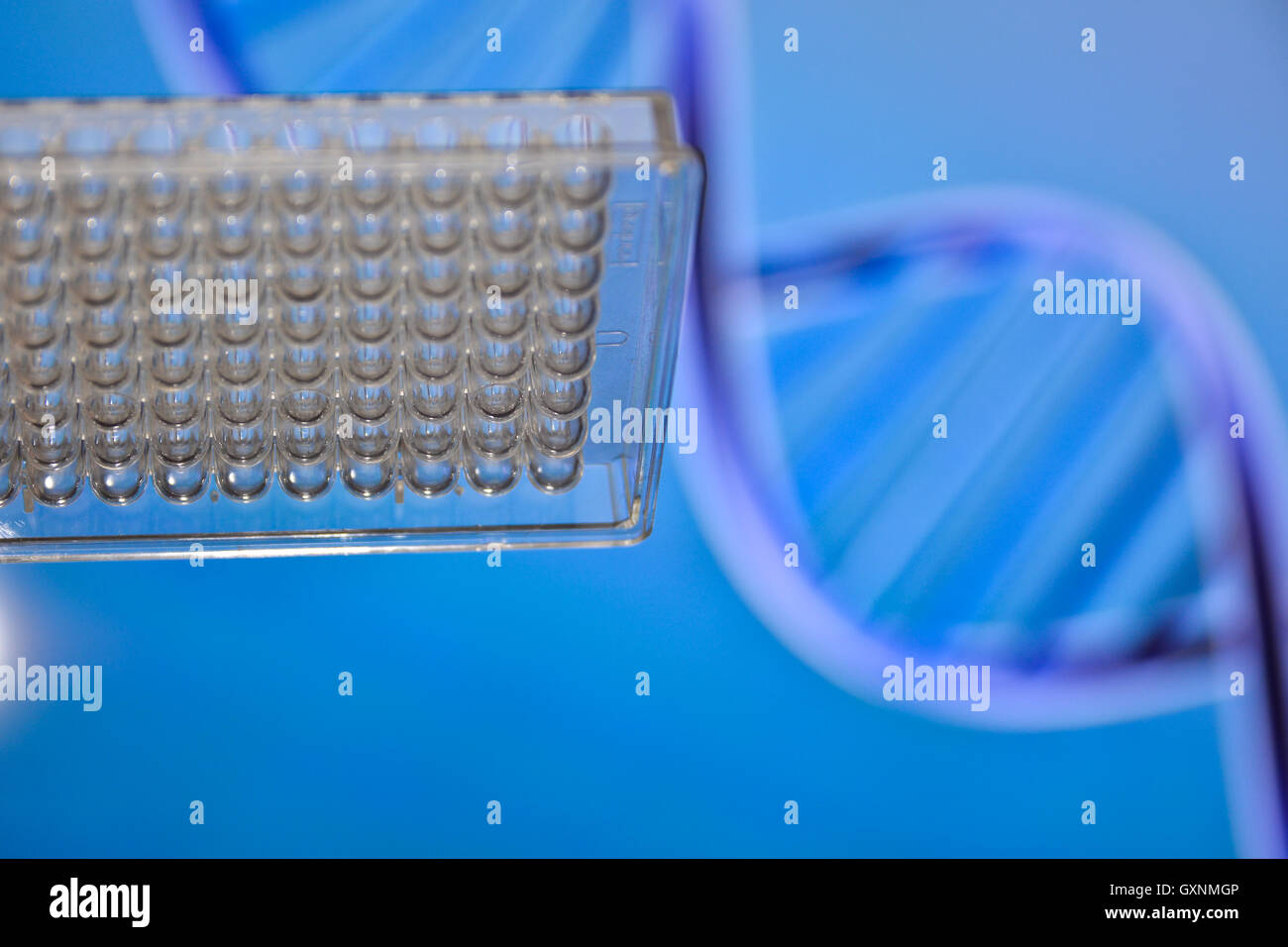 Des tests en laboratoire de sciences médicales. Les tests d'ADN pour le diagnostic des maladies humaines. Banque D'Images