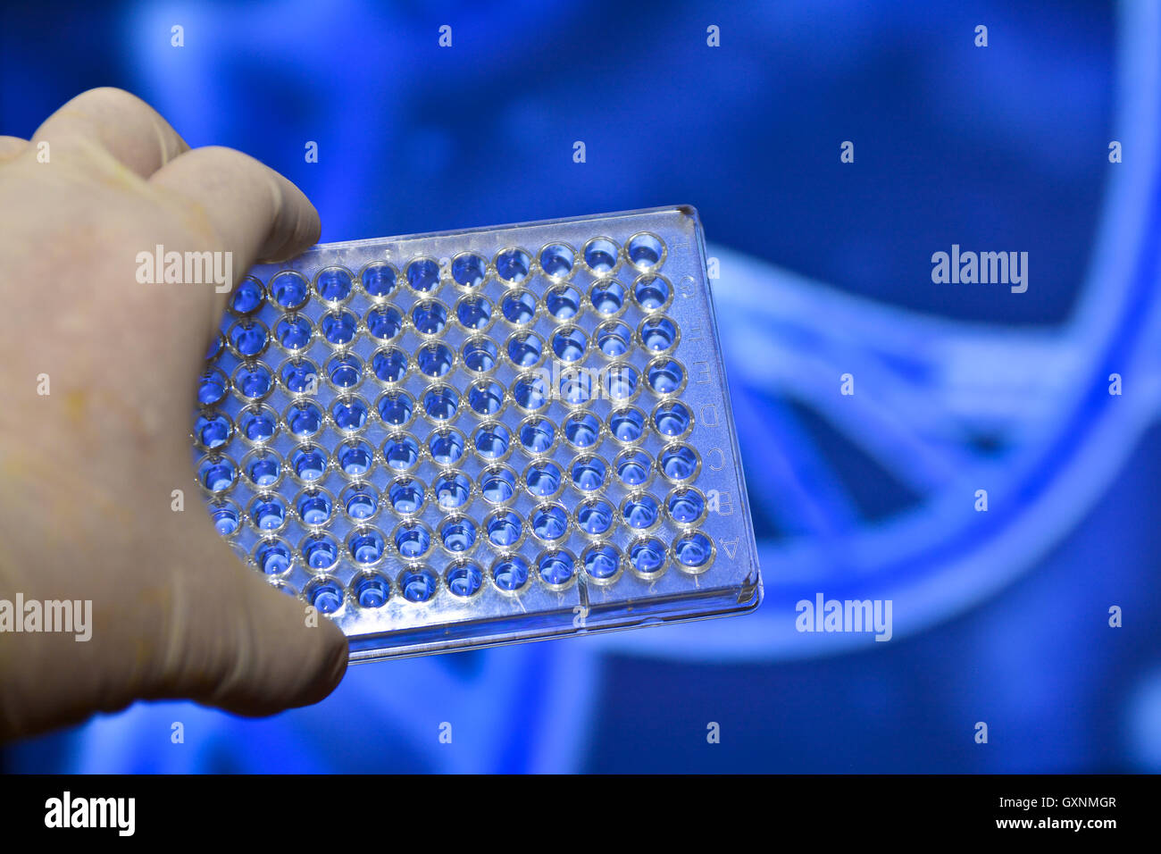 Des tests en laboratoire de sciences médicales. Les tests d'ADN pour le diagnostic des maladies humaines. Banque D'Images