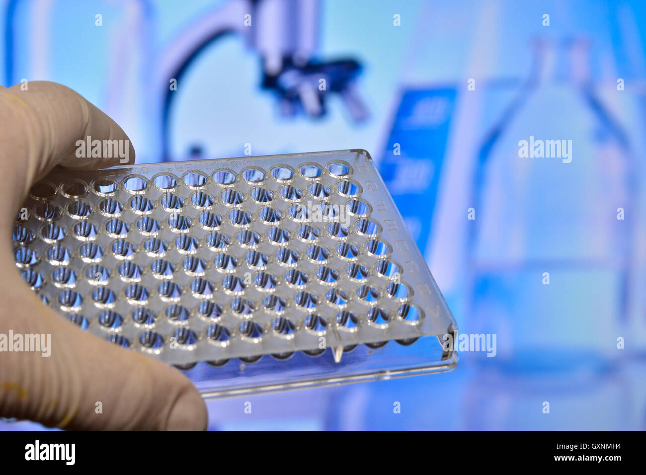 Des tests en laboratoire de sciences médicales. Les tests d'ADN pour le diagnostic des maladies humaines. Banque D'Images