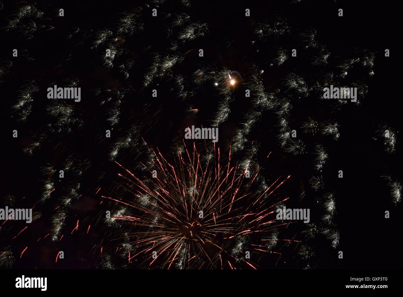 D'artifice sur l'affichage Banque D'Images