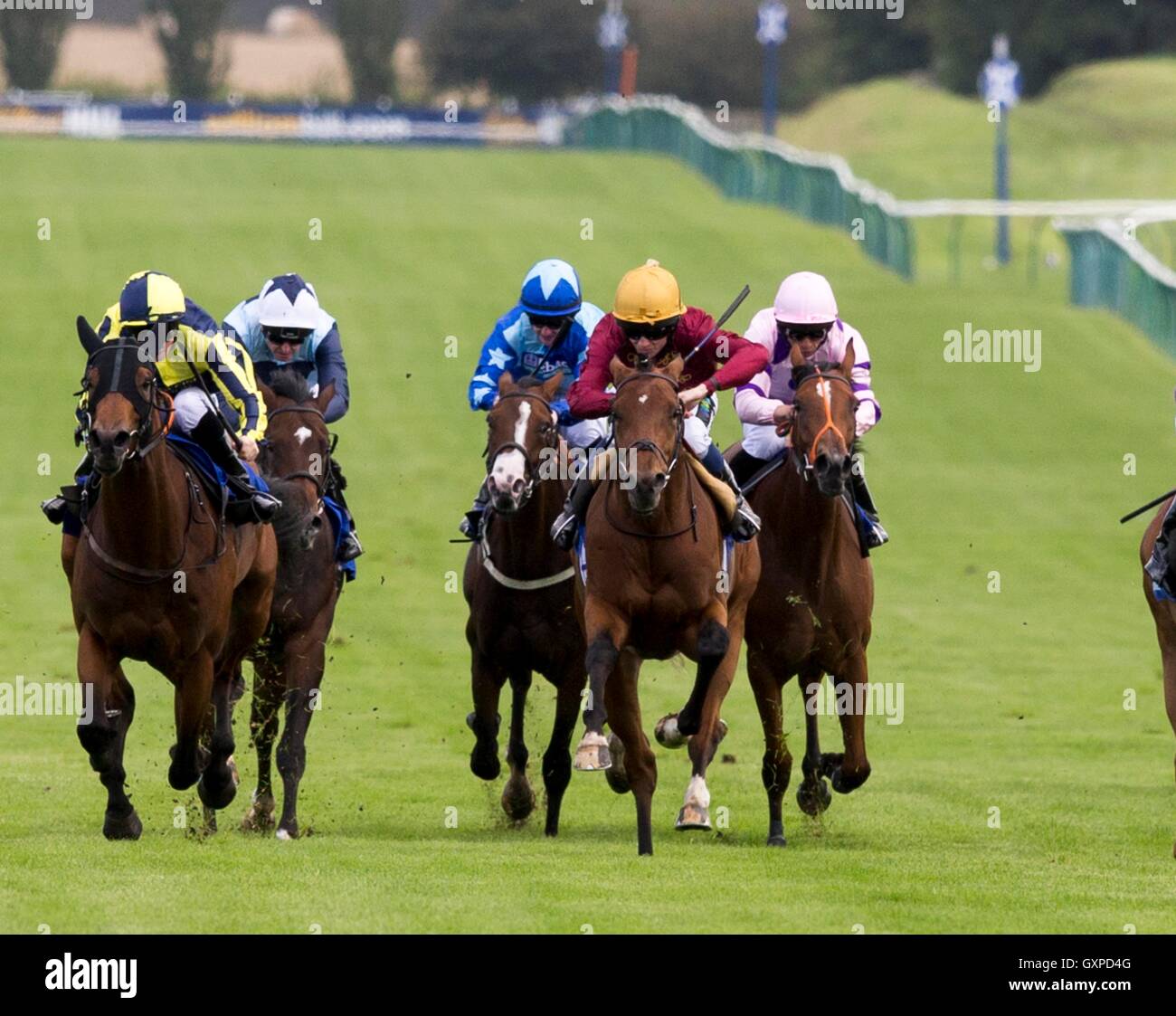 La guerre navale monté par Rob Hornby (centre droit) avant de gagner le Collège Al Maktoum, Dundee/ British Stallion clous EBF Maiden Stakes au cours de la deuxième journée de la 2016 William Hill Ayr Gold Cup Festival à Ayr Racecourse. Banque D'Images