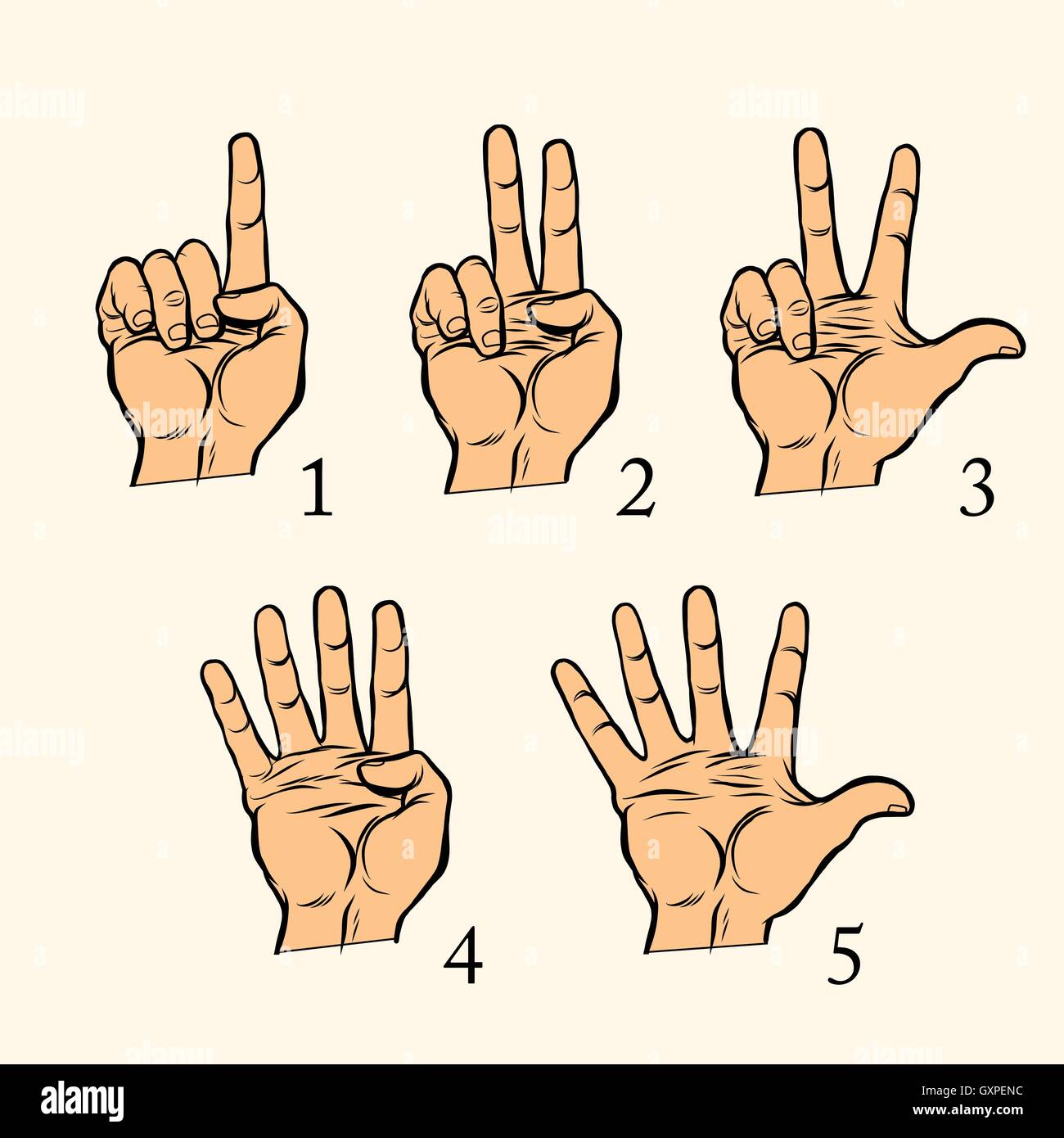 Ensemble De Gestes De La Main Count 1 2 3 4 Et 5 Image Vectorielle