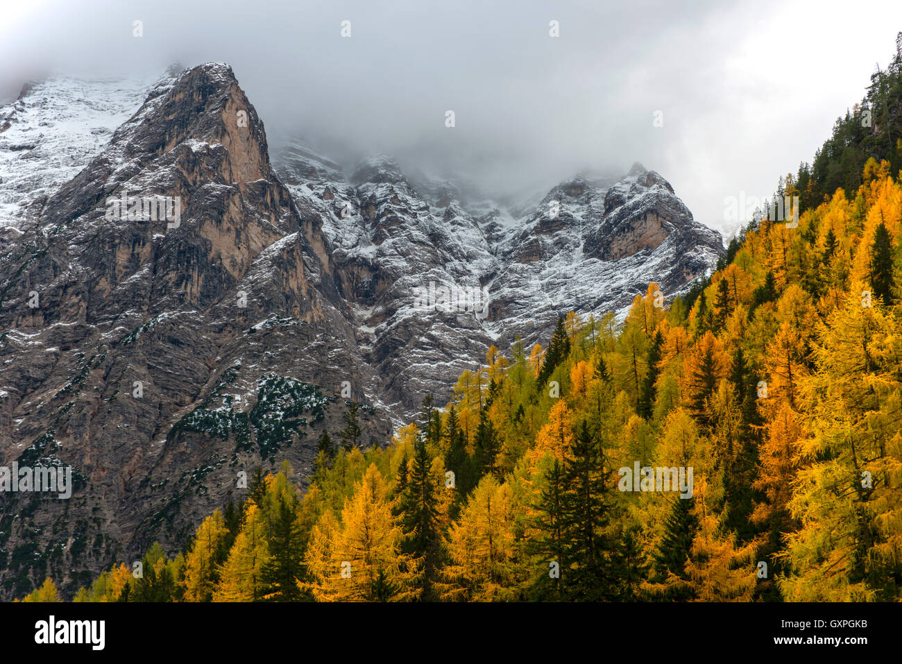 Le feuillage et la neige au lac Braies - (Dolomites de Sesto) - Dolomites - Montagnes - Italie Banque D'Images