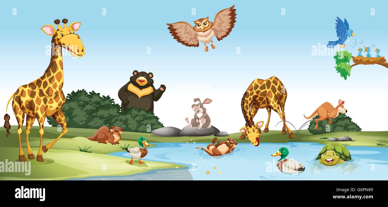 Animaux sauvages vivant par l'étang illustration Illustration de Vecteur