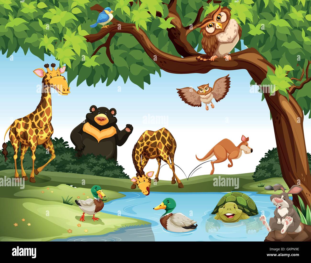 Beaucoup d'animaux sauvages dans le parc illustration Illustration de Vecteur