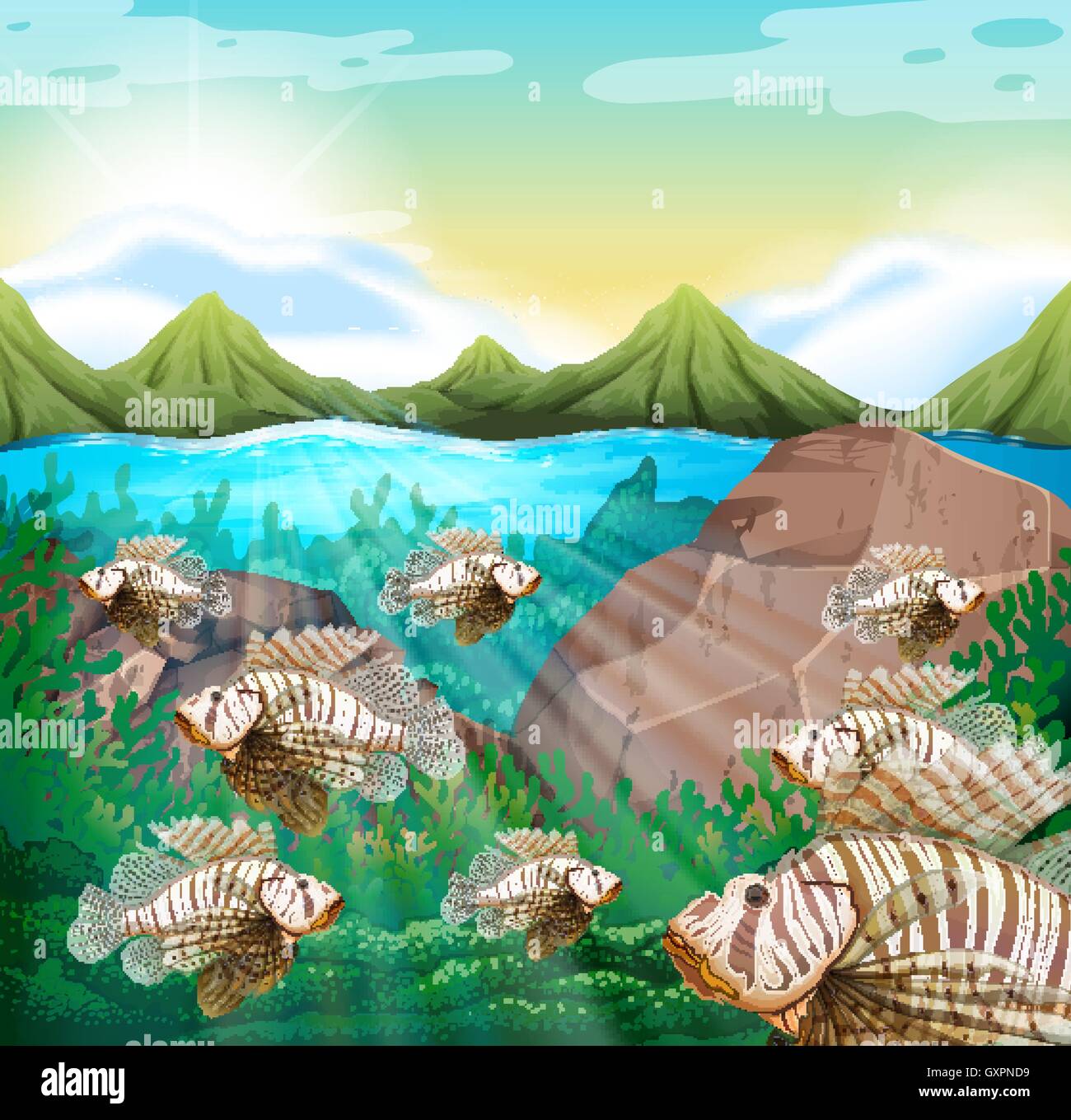 Scène de l'océan avec lion poisson sous l'illustration Illustration de Vecteur
