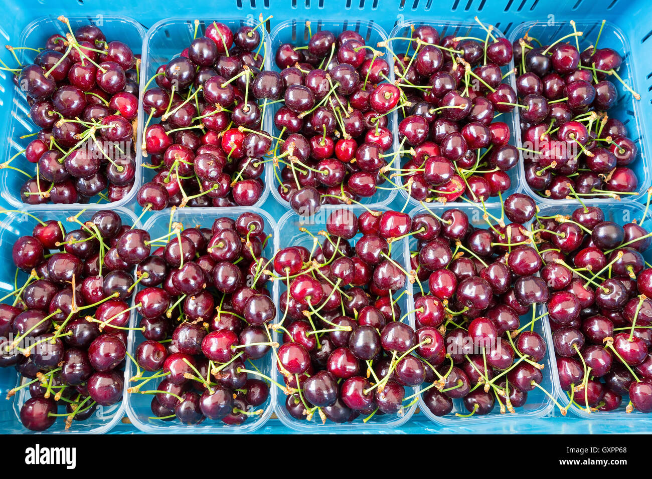 Plateaux de fruits avec les cerises rouges en caisse bleu Banque D'Images