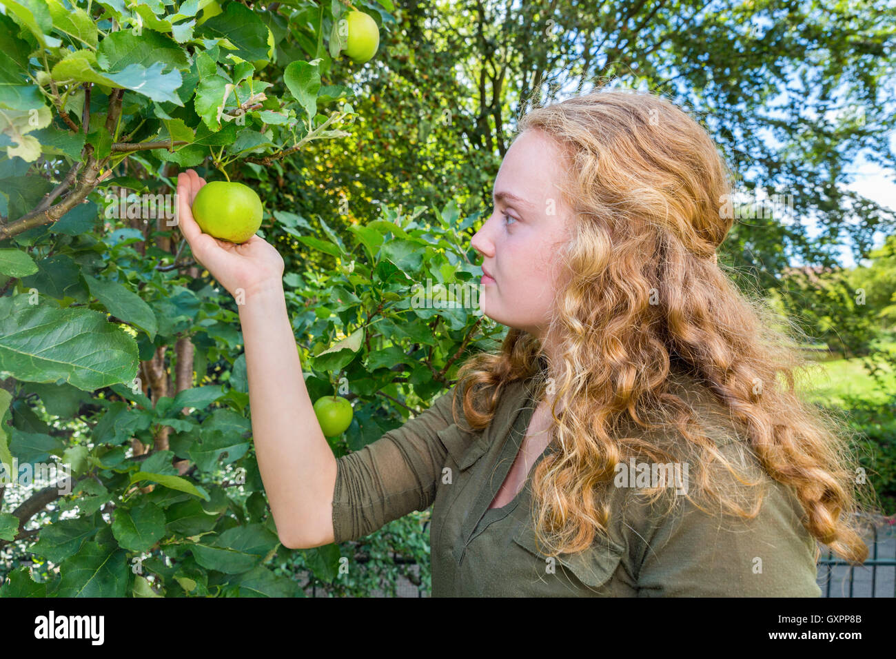 Young dutch woman holding apple in tree Banque D'Images
