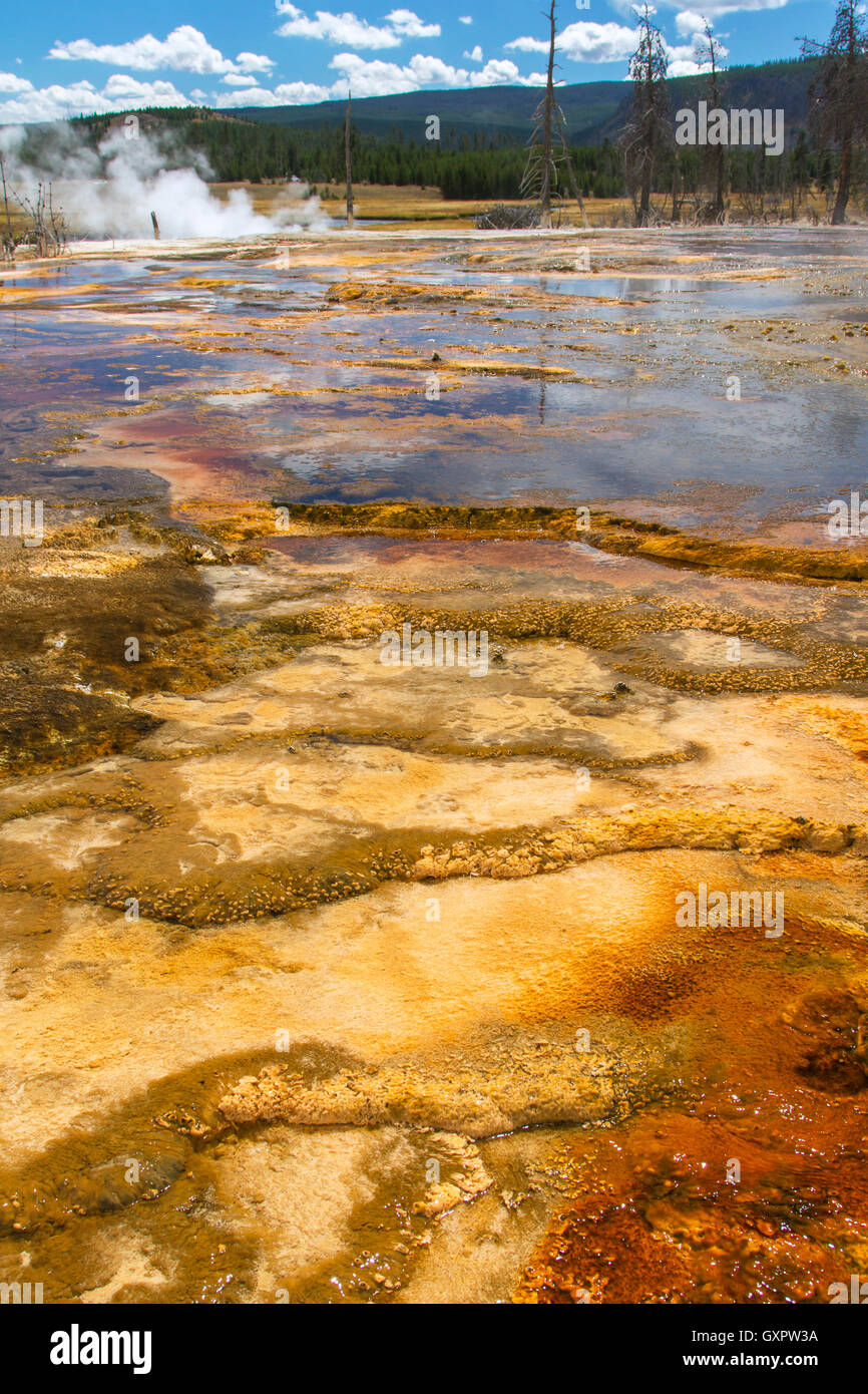 La croissance de bactéries dans l'eau chaude d'une source thermale, West Thumb Geyser Basin, Parc National de Yellowstone, Wyoming, USA. Banque D'Images