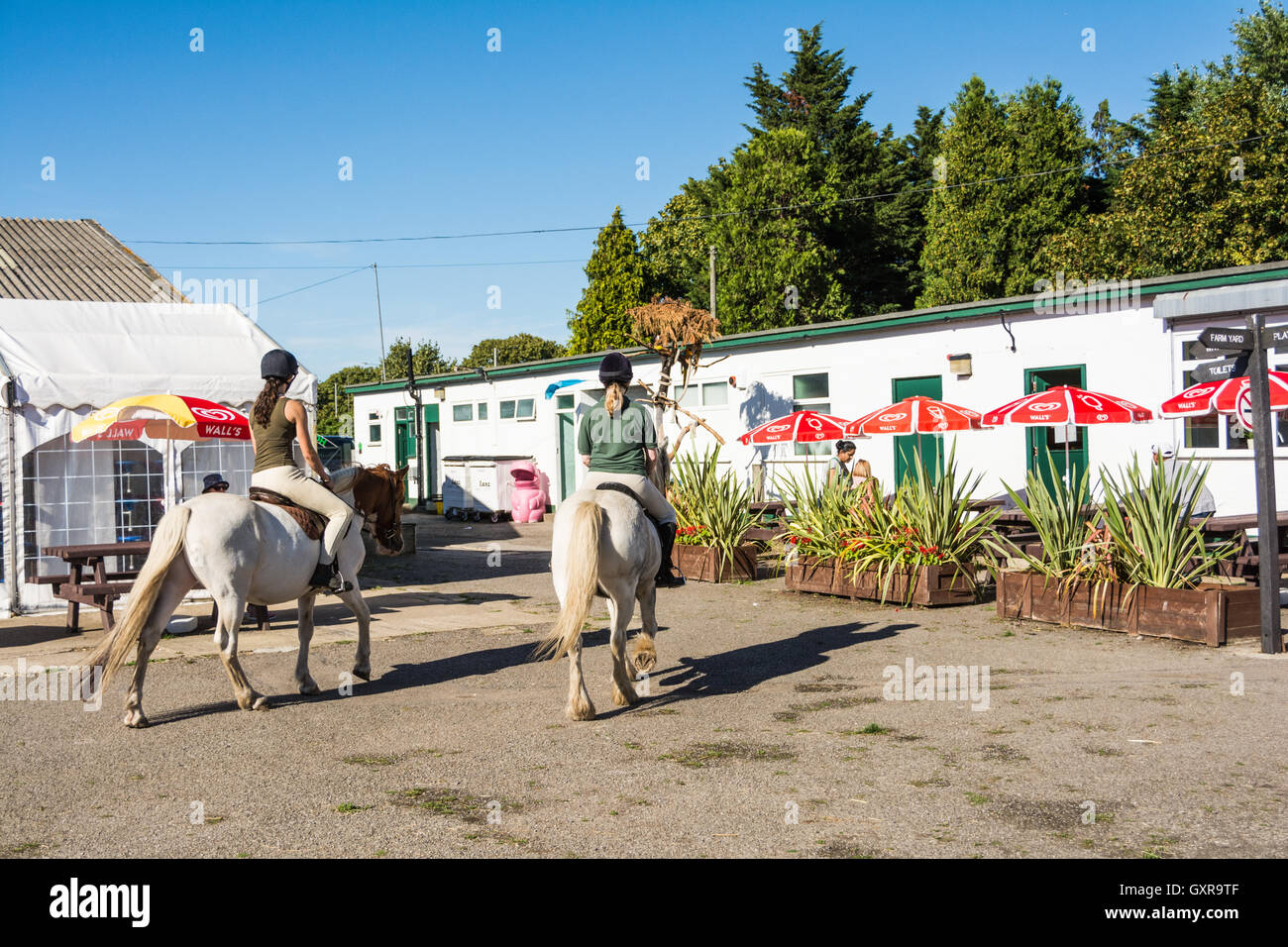 Deux filles ride poneys sur Hounslow ferme dans l'SW London, UK Banque D'Images