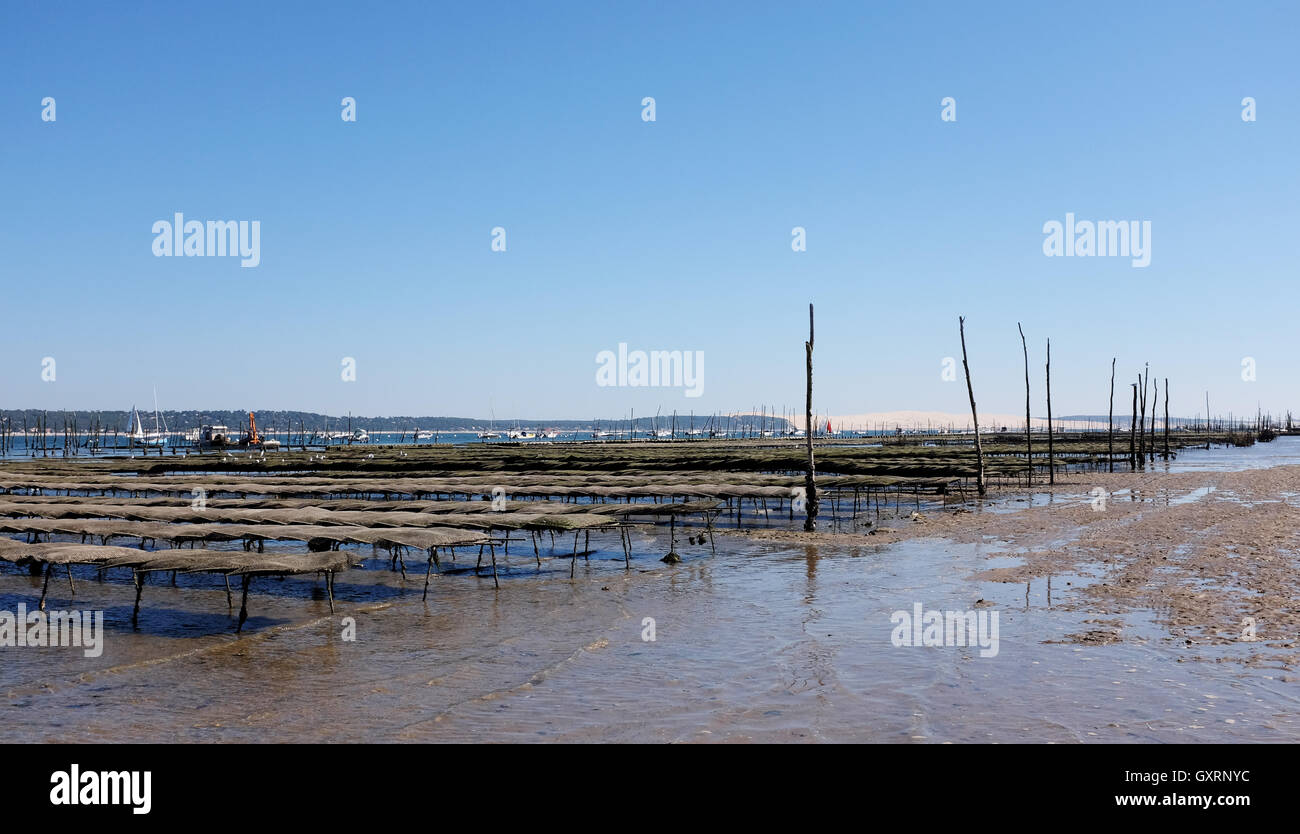 Filets d'huître et ferme au Cap Ferret sur la côte Atlantique de la France Banque D'Images