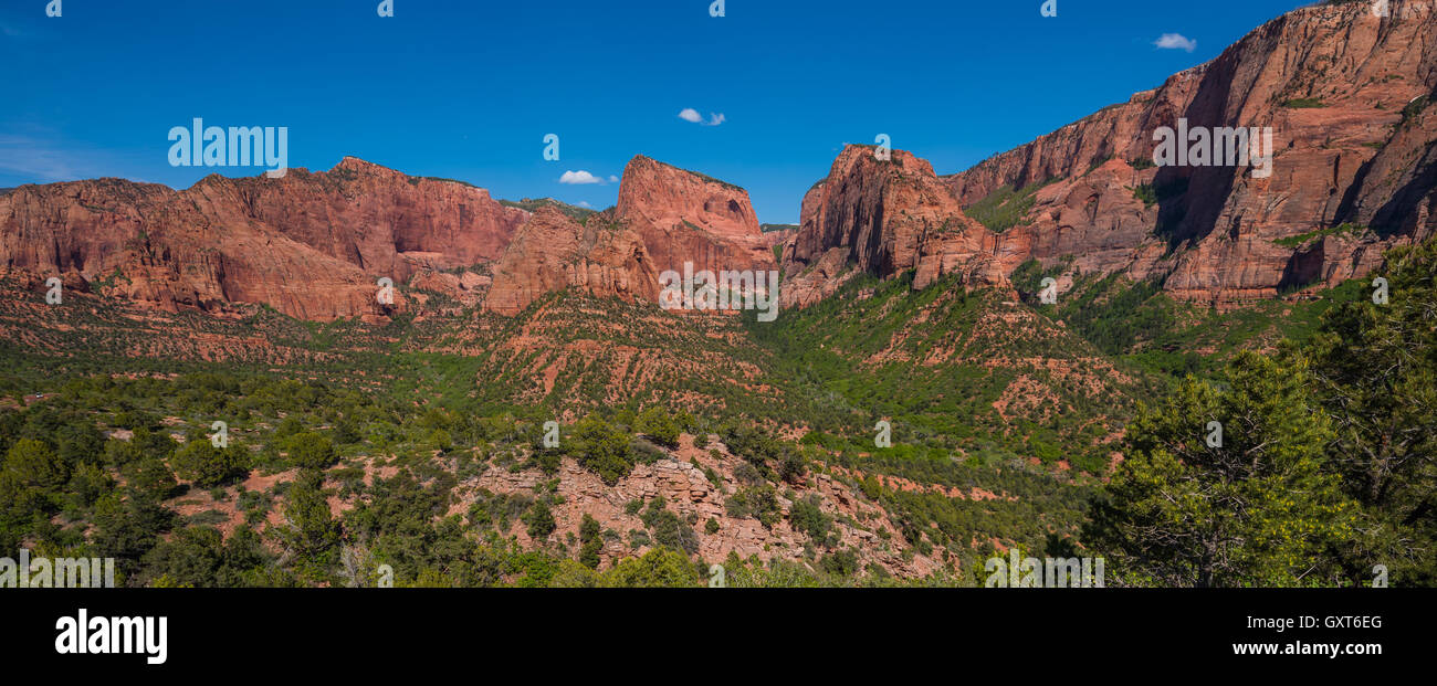 Paysage Kolob Canyons donnent sur le parc national de Zion Banque D'Images