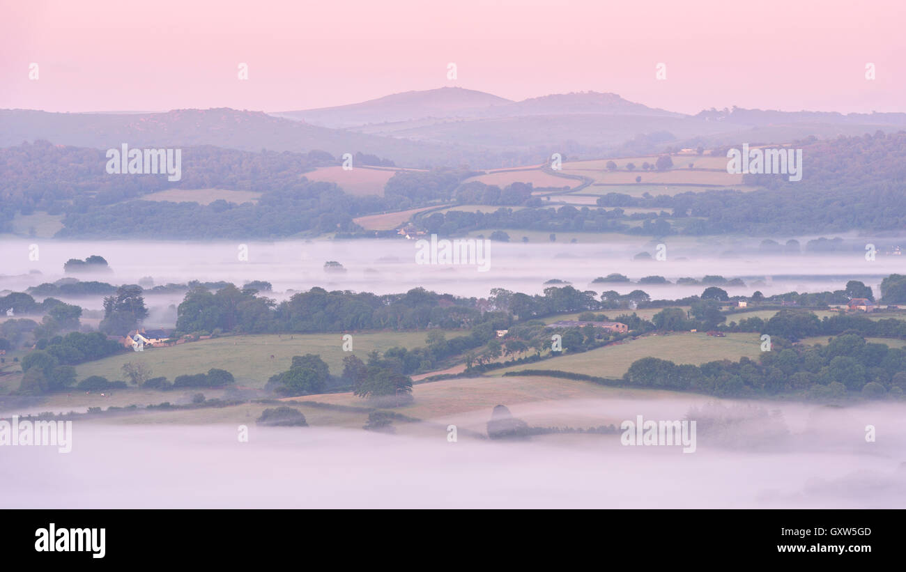 La campagne couverte de brouillard à l'aube près de Clapham, Dartmoor National Park, Devon, Angleterre. L'été (juillet) 2015. Banque D'Images