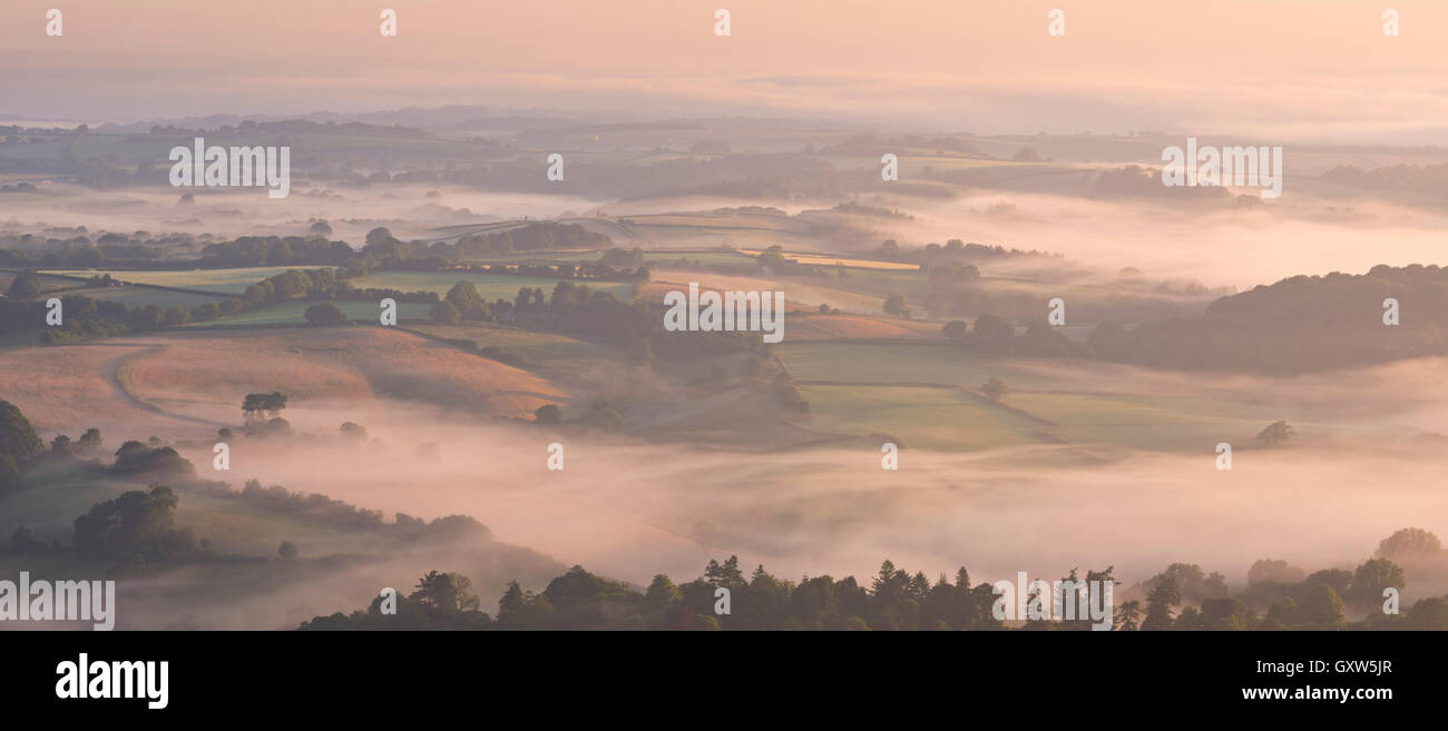 La campagne couverte de brouillard à l'aube, Crickhowell, Dartmoor National Park, Devon, Angleterre. L'été (juillet) 2015. Banque D'Images