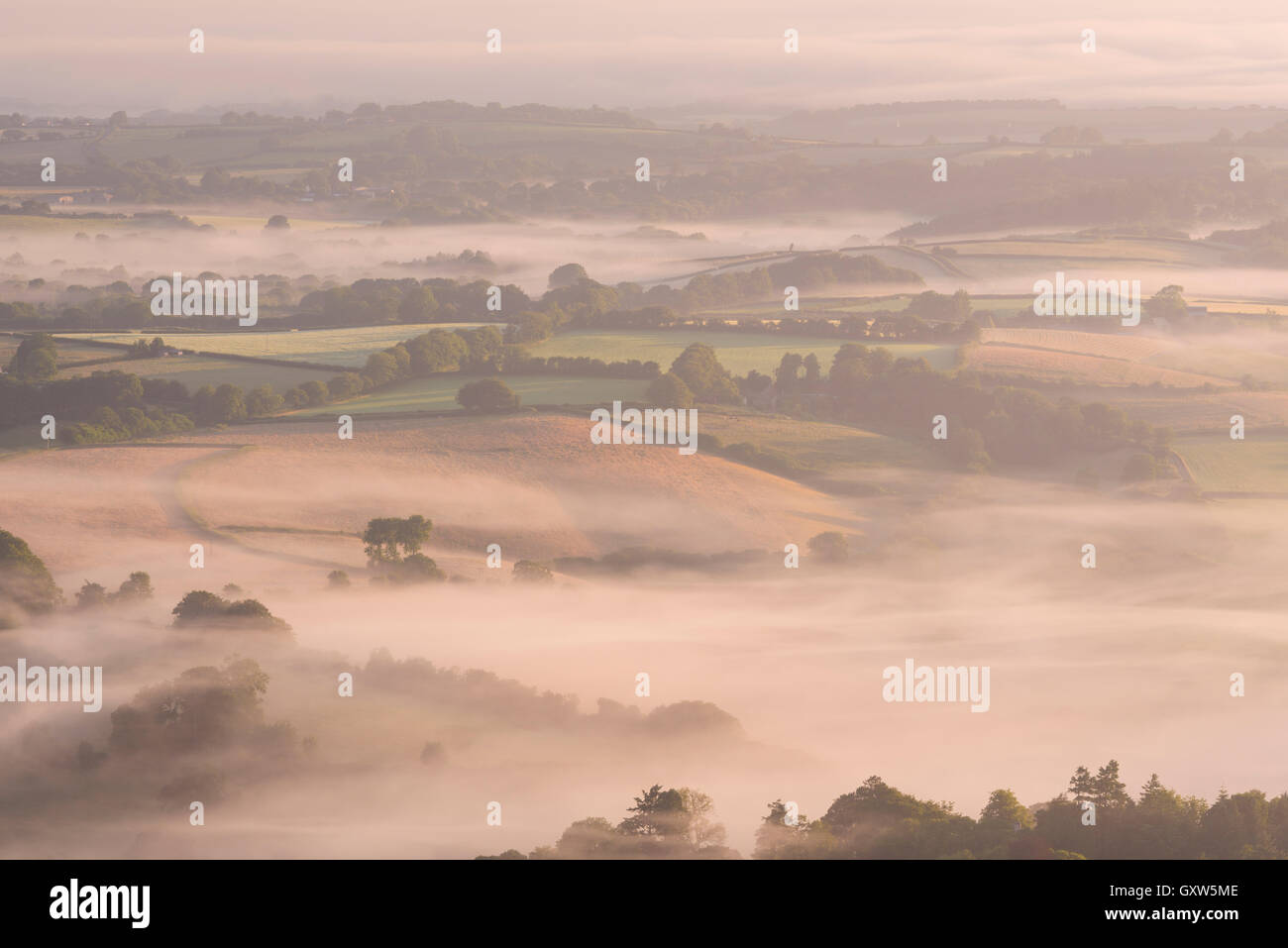 La campagne couverte de brouillard près de Chagford, Dartmoor National Park, Devon, Angleterre. L'été (juillet) 2015. Banque D'Images