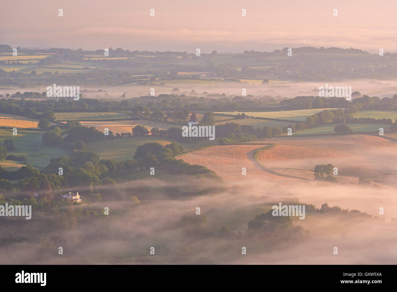 Matériel roulant couverts de brume à l'aube campagne Dartmoor, dans le Devon, Angleterre. L'été (juillet) 2015. Banque D'Images