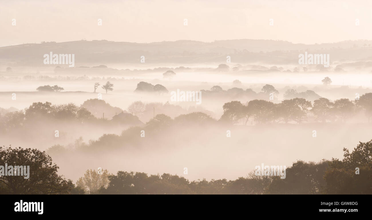Couverte de brouillard à l'aube, campagne Cheriton Bishop, Devon, Angleterre. L'automne (octobre) 2015. Banque D'Images