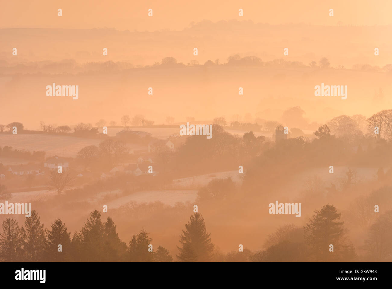 L'hiver glacial et brumeux le lever du soleil sur le Dartmoor campagne près de Throwleigh, Devon, Angleterre. L'hiver (mars) 2016. Banque D'Images