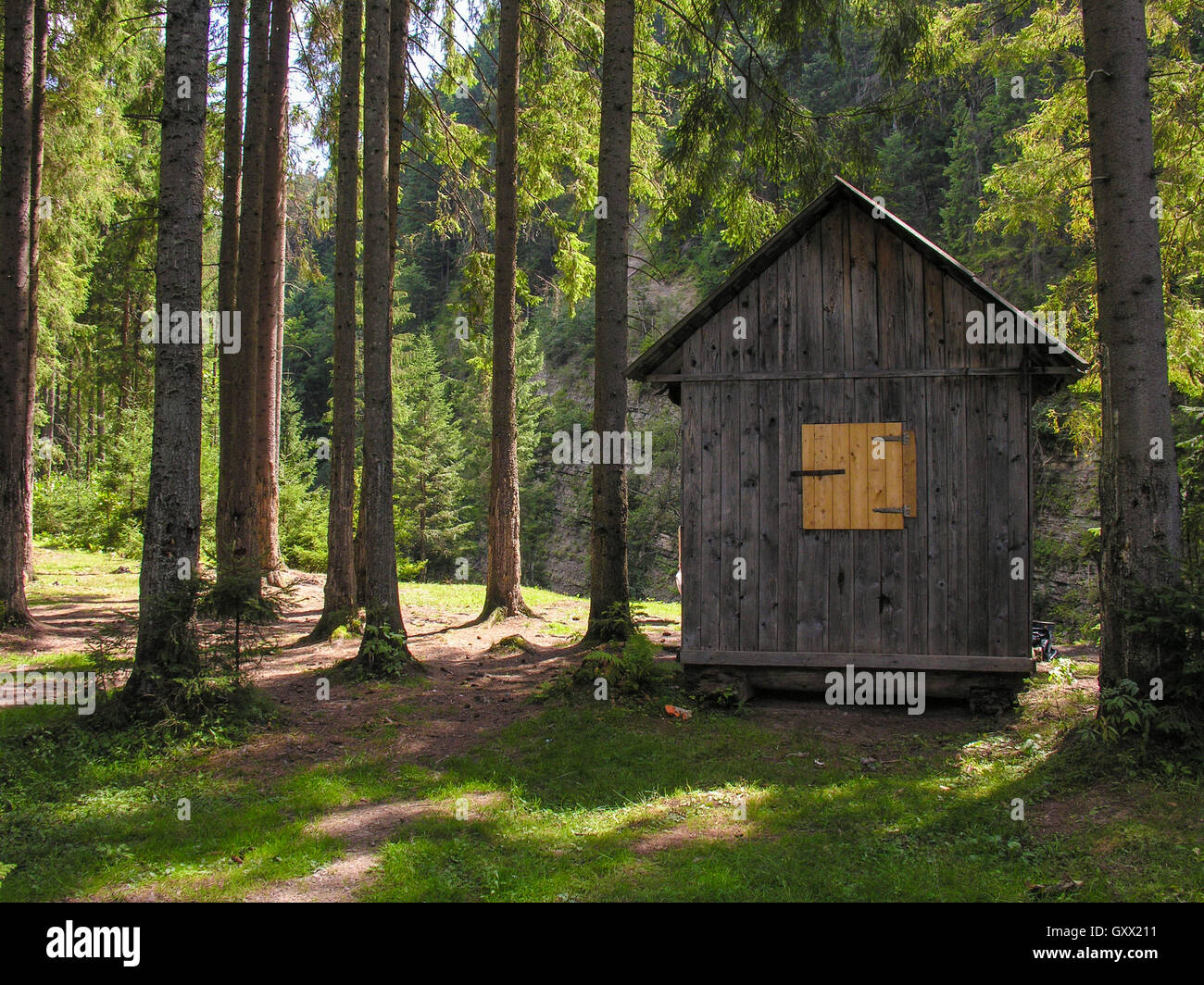 Petite maison en bois avec des volets dans une clairière dans les bois Banque D'Images
