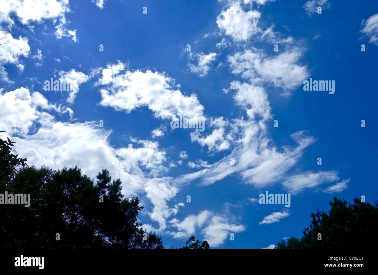 Les nuages tourbillonnant against a blue sky Banque D'Images