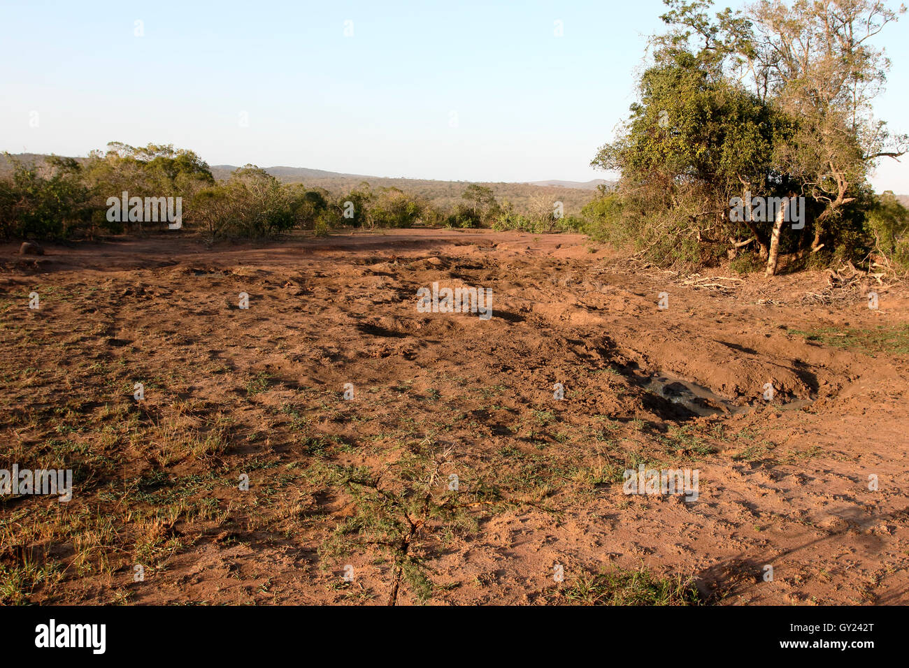 Thiyeni Hide, Hluhluwe Game Reserve, Afrique du Sud, août 2016 Banque D'Images