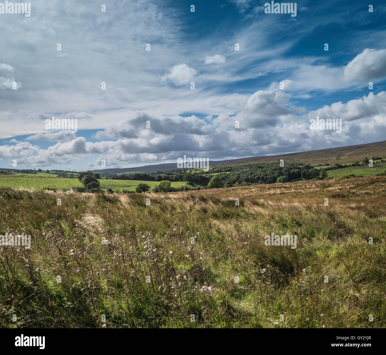 Tatham est tombé sur le Yorkshire Moors Lancashire County, limite nord-ouest de l'Angleterre, Royaume-Uni. Banque D'Images