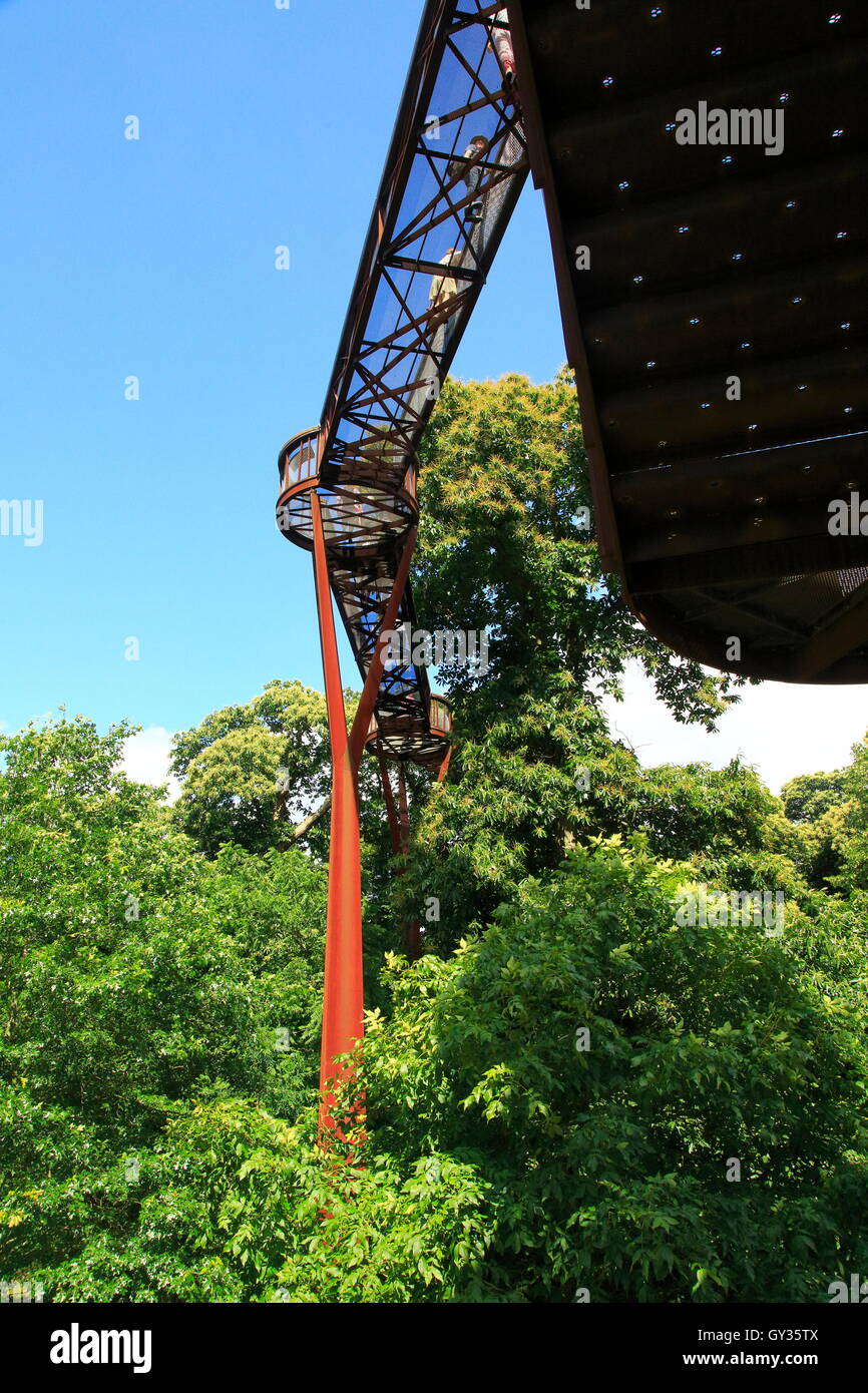 Xstrata Treetop Walkway, Royal Botanic Gardens, Kew, Londres, Angleterre, Royaume-Uni Banque D'Images