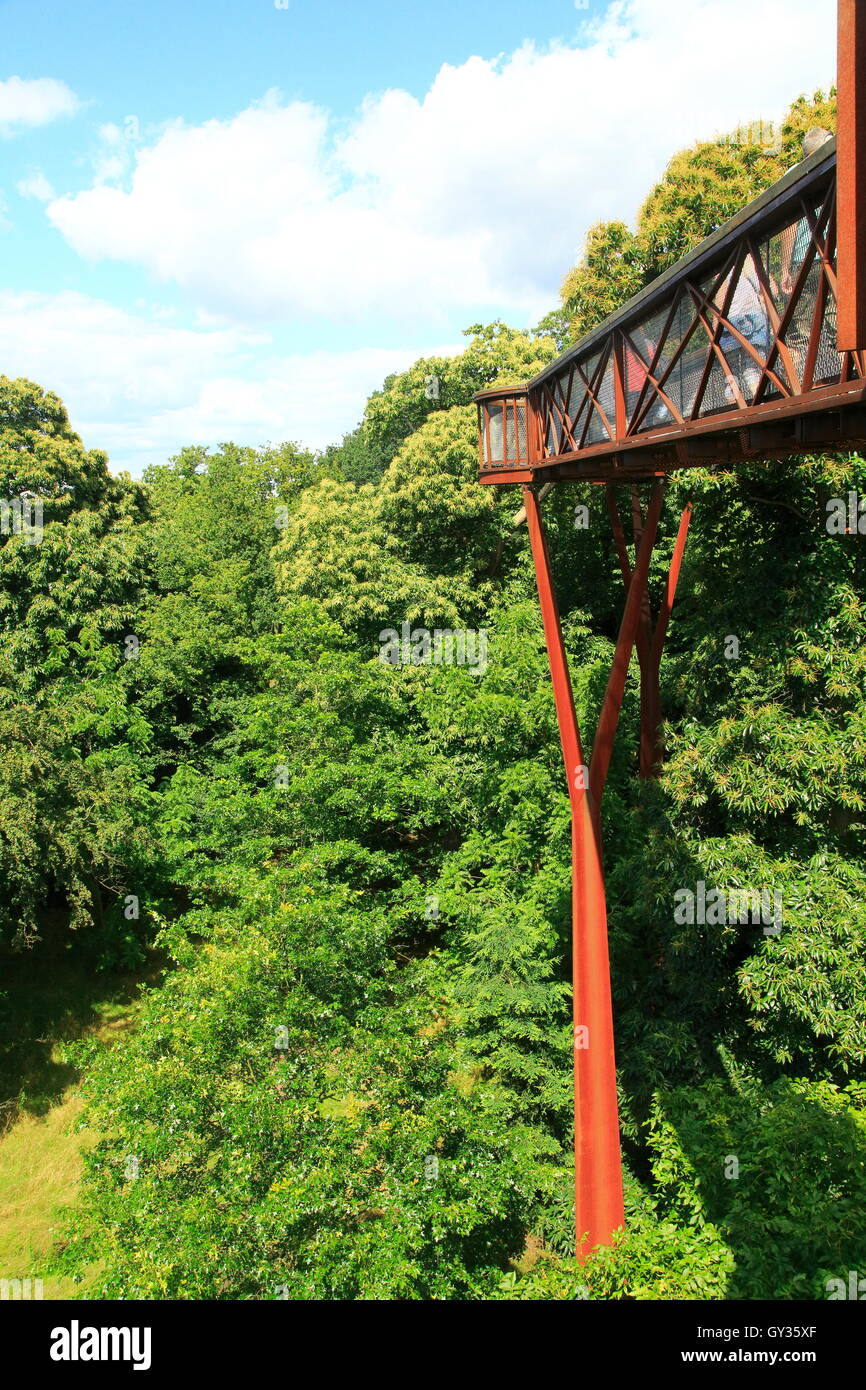 Xstrata Treetop Walkway, Royal Botanic Gardens, Kew, Londres, Angleterre, Royaume-Uni Banque D'Images