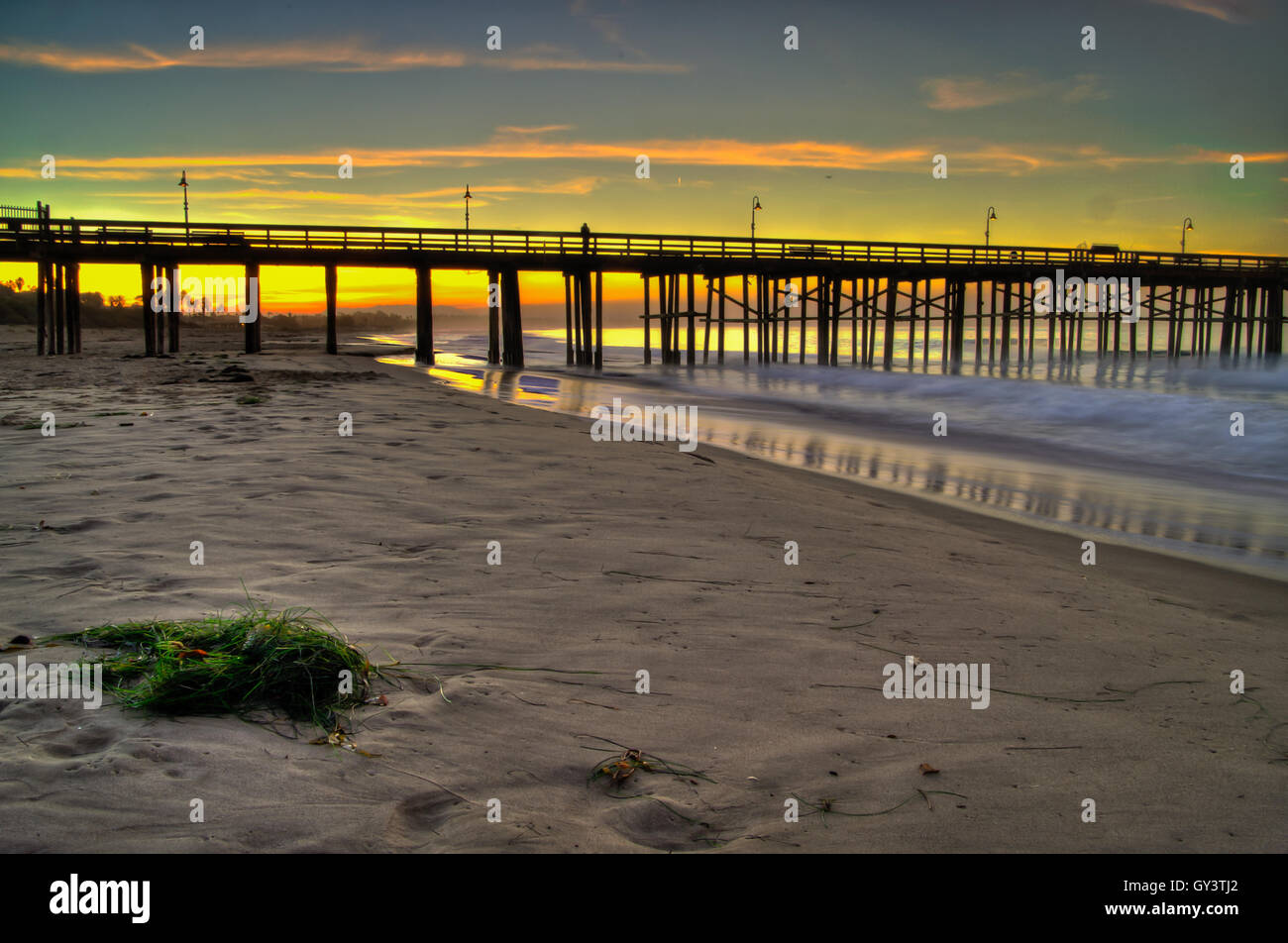 Tas d'algues sur une plage sunrise à Ventura. Banque D'Images
