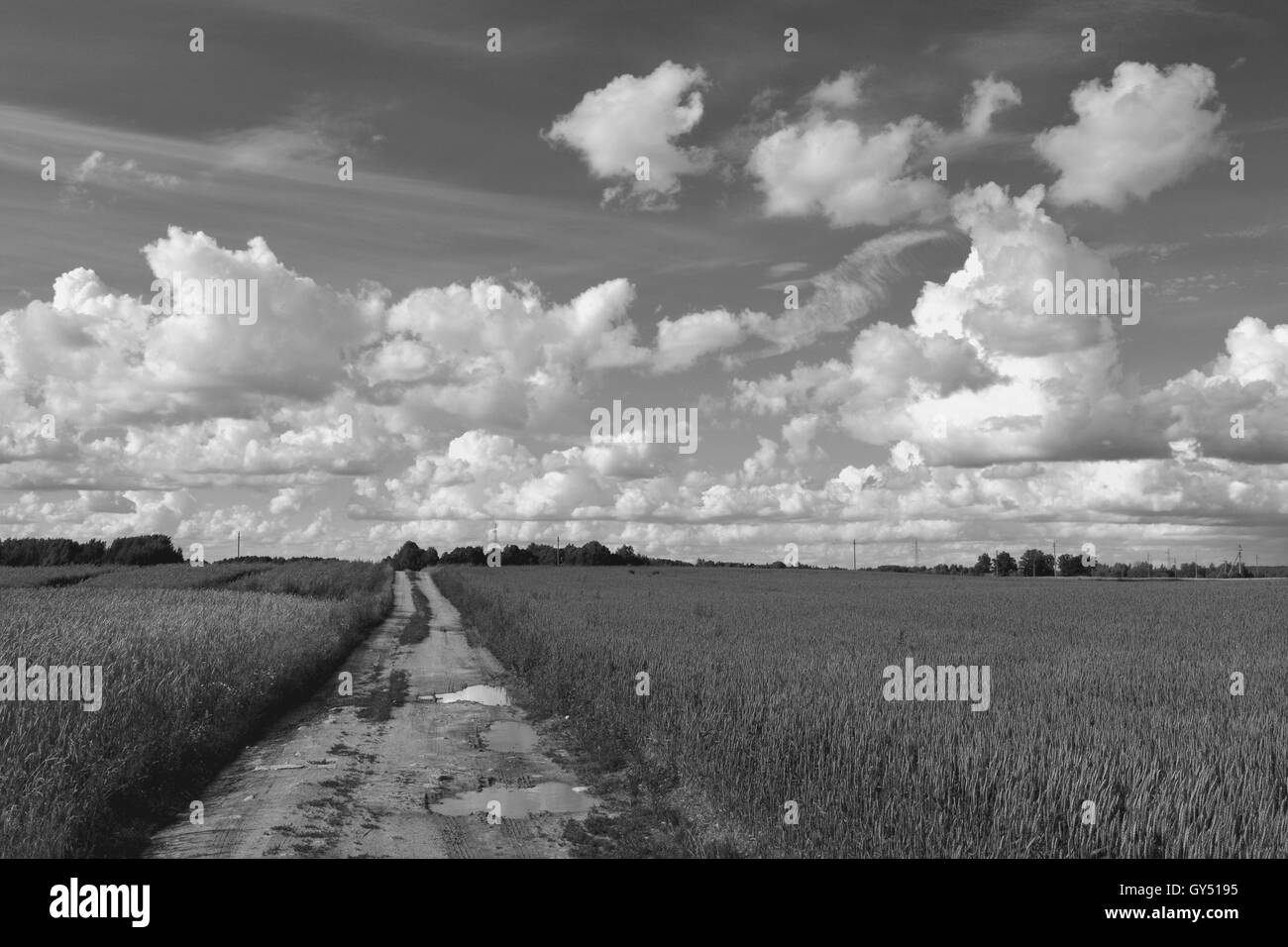 Photo en noir et blanc des routes de campagne à travers les champs nuageux ensoleillé sur la journée d'été Banque D'Images