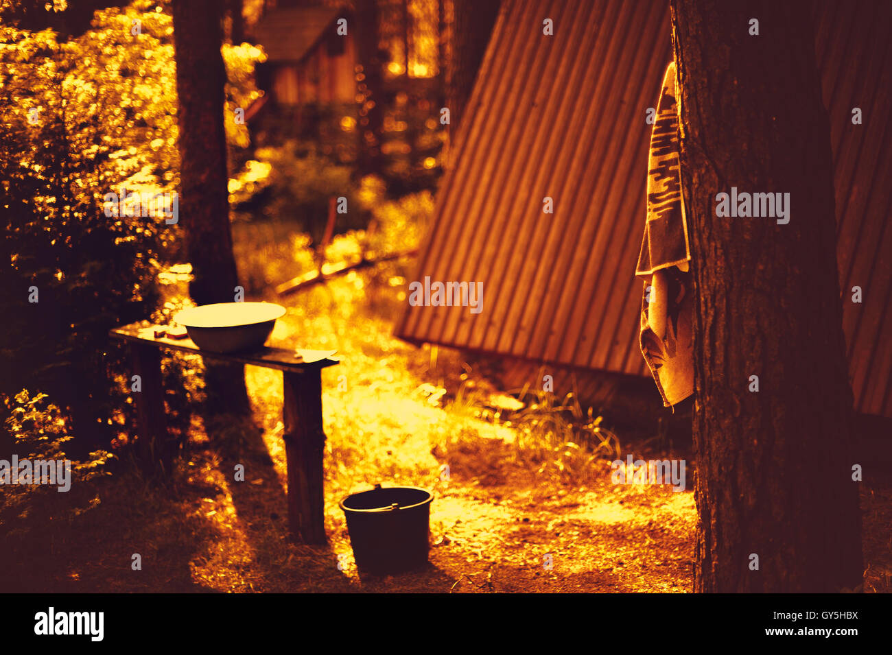 Maison en bois au milieu des bois Banque D'Images