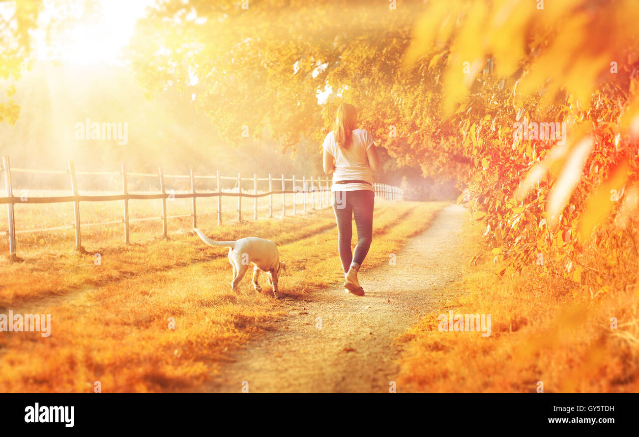 Paysage d'automne avec jeune femme et chien Banque D'Images